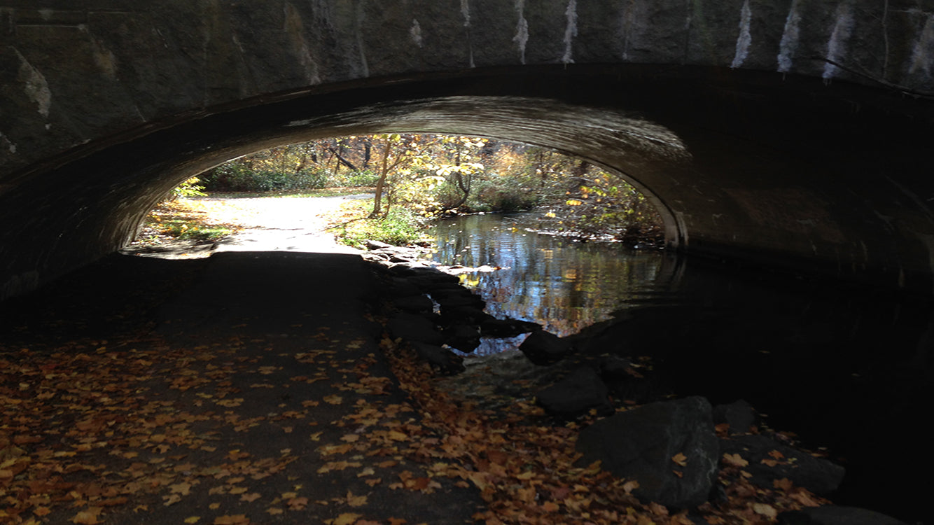 Inside of a cave, looking out at the light